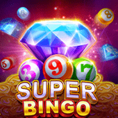 Mega Bingo Game